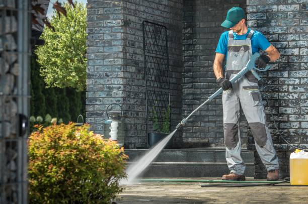 Animal Enclosure Cleaning in Westwood, NJ
